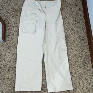 Aritzia pants
